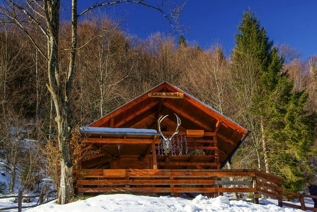 Cabana Casa Craita Зернешті Номер фото