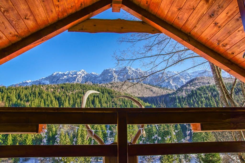 Cabana Casa Craita Зернешті Номер фото