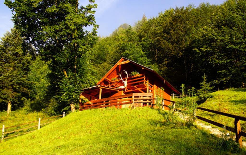 Cabana Casa Craita Зернешті Номер фото