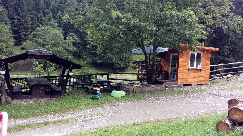 Cabana Casa Craita Зернешті Екстер'єр фото