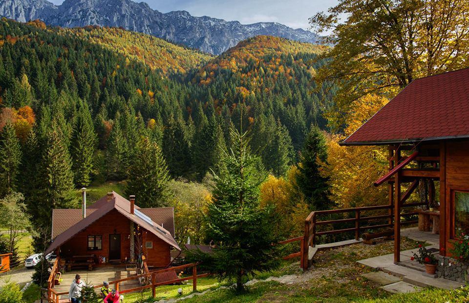 Cabana Casa Craita Зернешті Екстер'єр фото