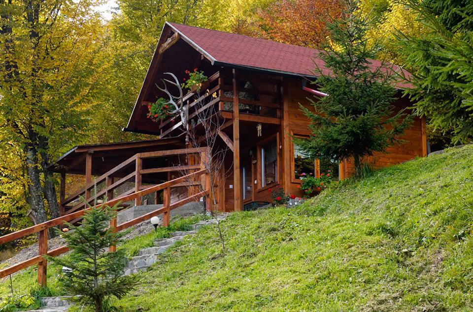 Cabana Casa Craita Зернешті Екстер'єр фото